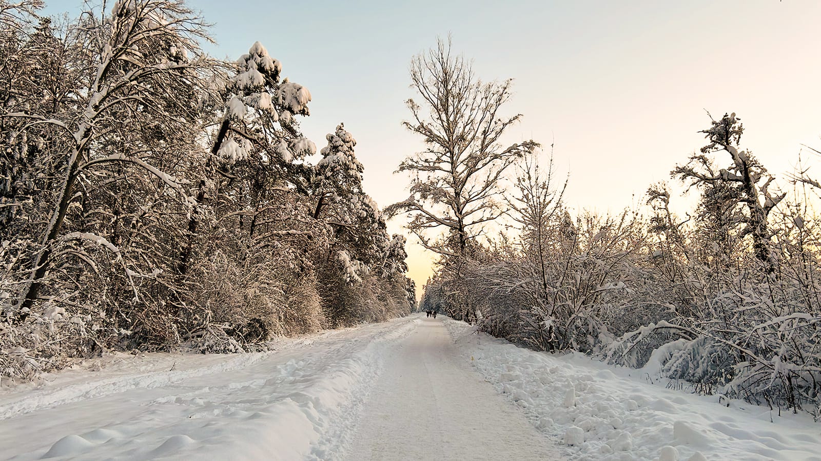 xmas_gallery
