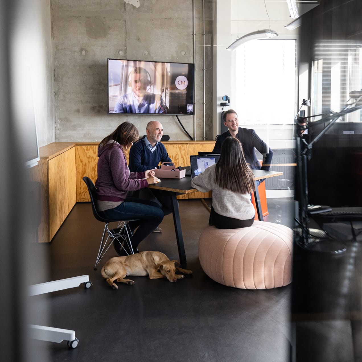 Digital Meeting with office dog